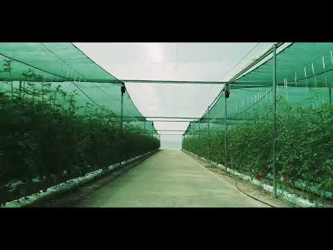 Корпоративный фильм — пример работы Art Video в Ташкенте